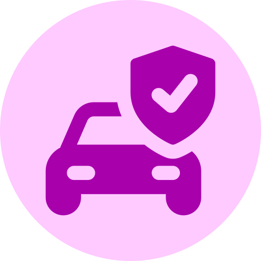 Fully Insured Vehicles